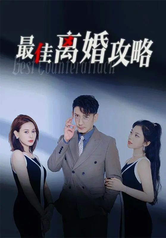 《最佳离婚攻略》：爆笑解构婚姻围城，教你优雅转身，告别过去！